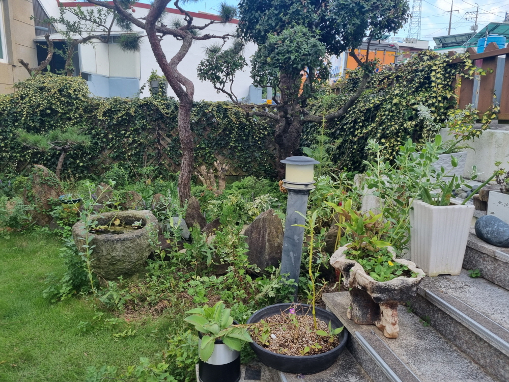 3695294320_0DAc65f3_6d26bd5cdd907c1adcbd8d545090988821f86e77.jpg 이미지크게보기