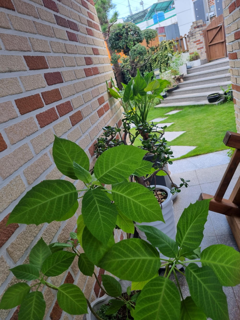 3695294320_AuhbwDcK_91483cc72eab9d92395207ec00fdfabf4c1d4576.jpg 이미지크게보기