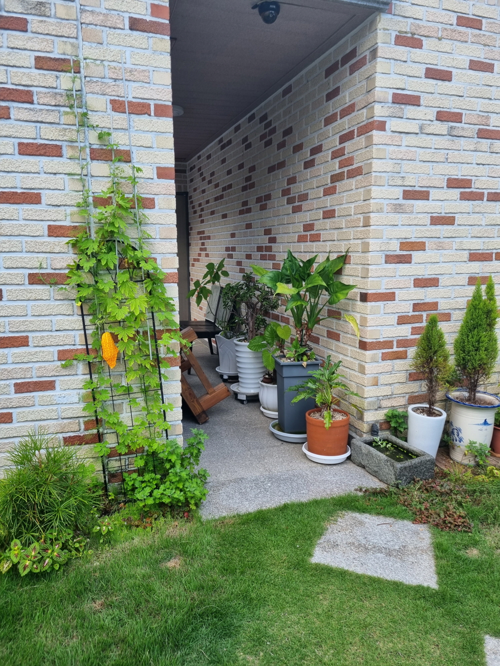 3695294320_H8PcvNwL_19e6a4ef96a1123bdeecde7d606a6bfa7b7548cd.jpg 이미지크게보기