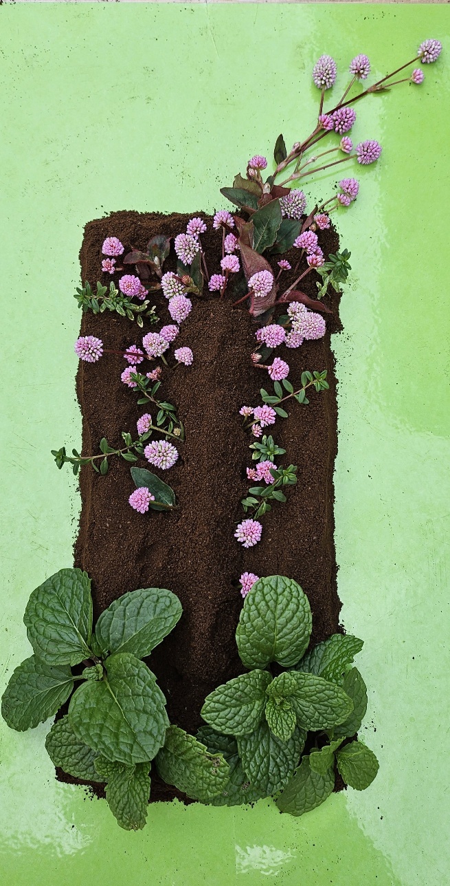 3695294320_RtvyY6j8_6ba307cc4c6220379d5e868fb1585e18ca341a9e.jpg 이미지크게보기