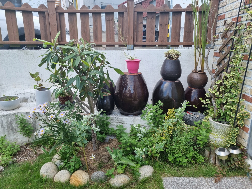 3695294320_SF39rN8I_941c3fb570d8cbbf01ff5e18c637df9c427e48b3.jpg 이미지크게보기