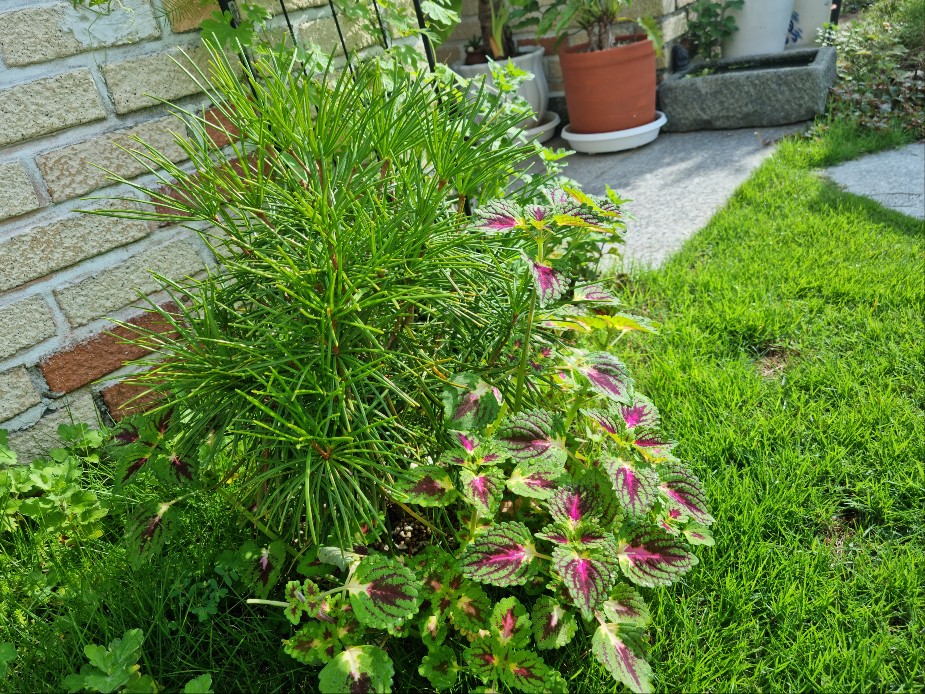 3695294320_VjzaFHKv_8f065d544ee5d166088ada7959e23f3d74dca1ec.jpg 이미지크게보기