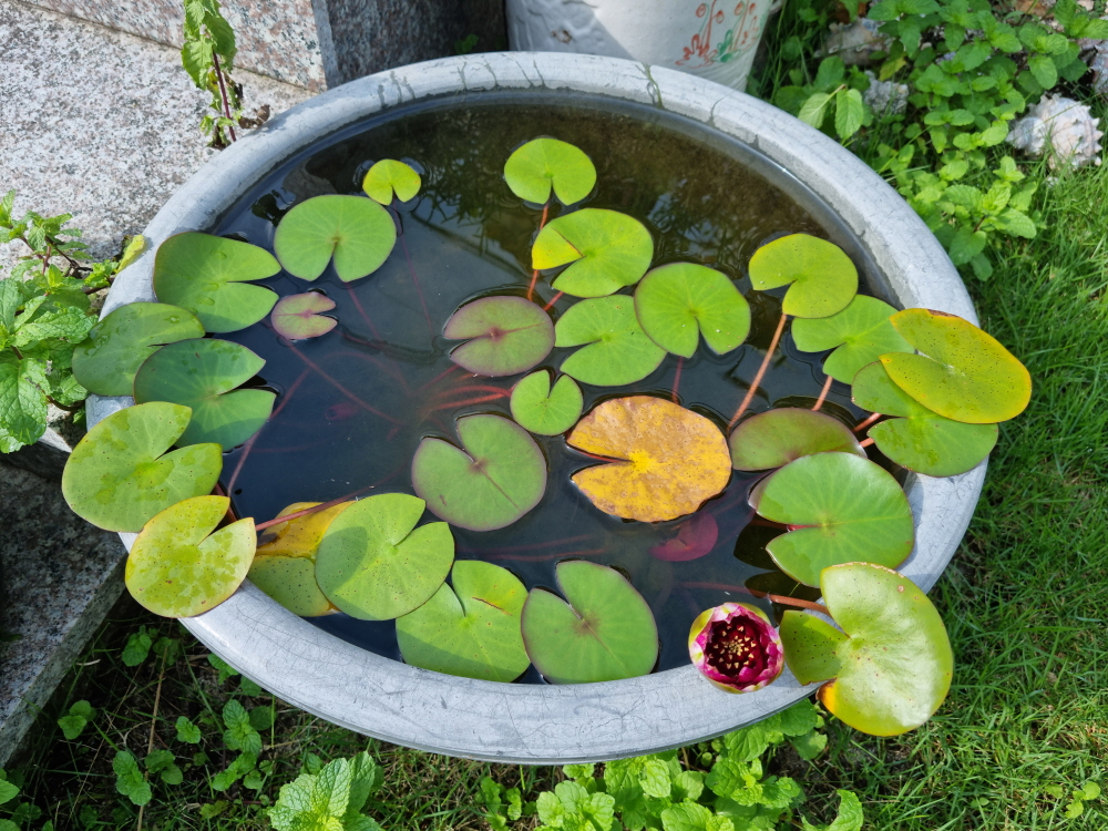 3695294320_WXj5TGwi_e477738b9bc4b5e611b7c258010dc44c4050e807.jpg 이미지크게보기