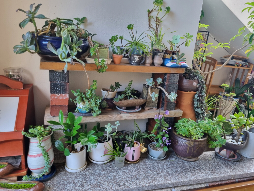 3695294320_X7KSRzUo_262ee80f5ee3bd5d47f2dd5b9090b4acebeecaf7.jpg 이미지크게보기