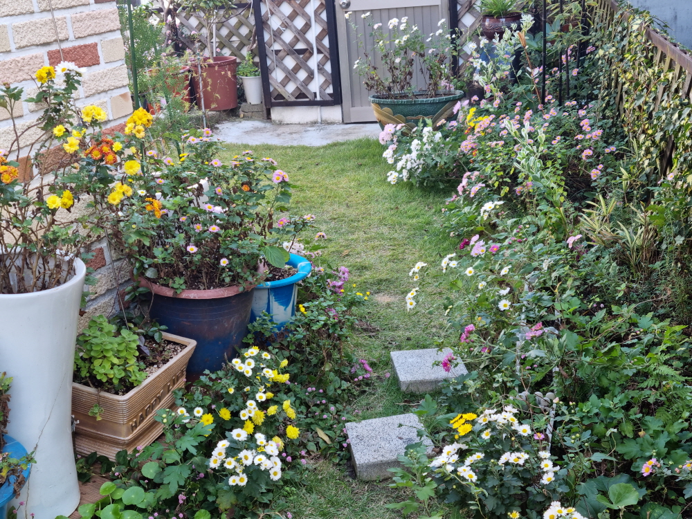 3695294320_e7sAgYqE_f574478731a0f95cdc2bc73daaa5fa013977c5d1.jpg 이미지크게보기