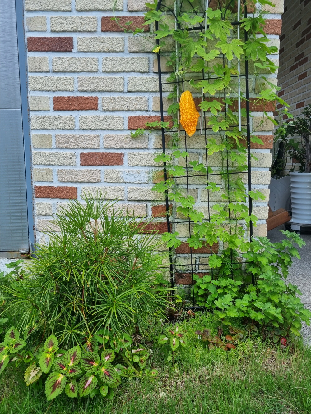 3695294320_eWXHt8EY_443d462c8a13af03f86aa348e3dbeb66db4ea4f8.jpg 이미지크게보기