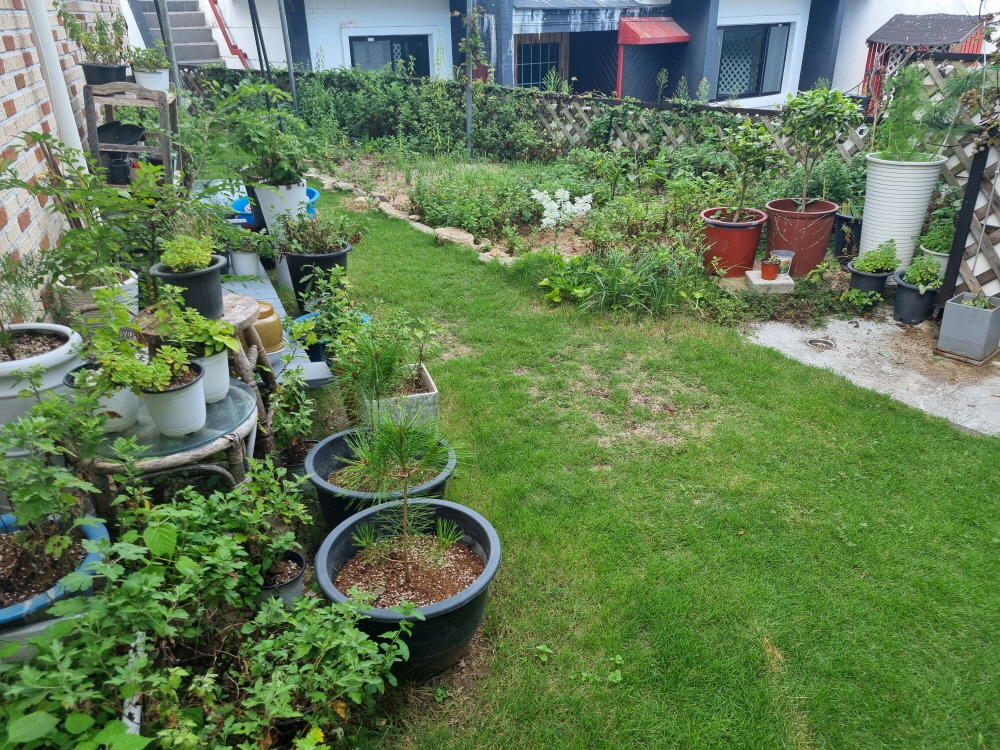 3695294320_fxDmdPlY_b0bab9716e2001d27285704bd68f7855d265c749.jpg 이미지크게보기