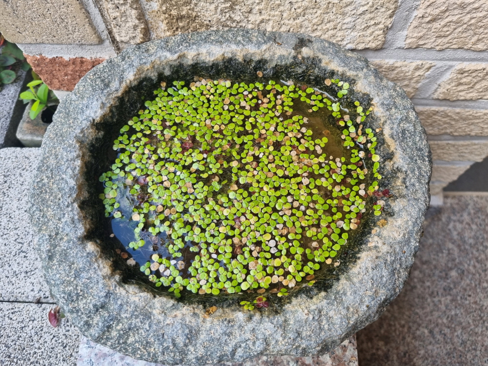 3695294320_jW4lT0I1_9b2c5d517d9b583b64ddb52fb5723d41063d15ce.jpg 이미지크게보기