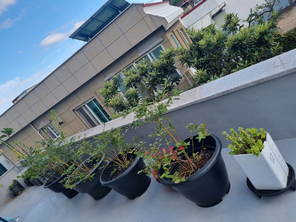 3695294320_mKCkDjvA_5109614acd0134fd7c935adf2ca1ddc1ba11a0cc.jpg 이미지크게보기