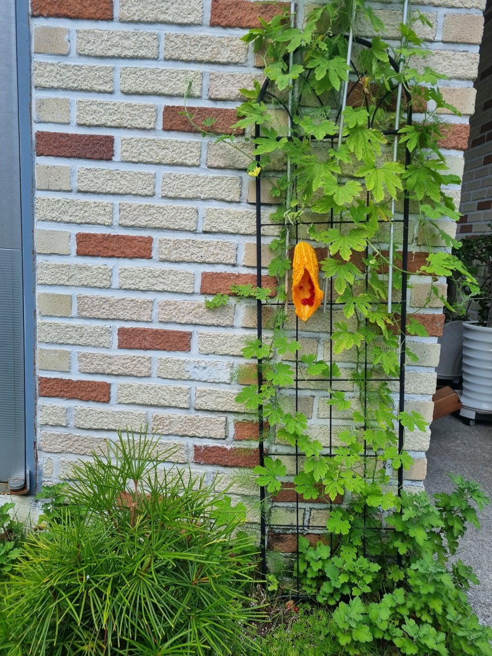 3695294320_qjHJYlU1_53d7094f6c39127b3ceddc24b5a8c86572e33f39.jpg 이미지크게보기