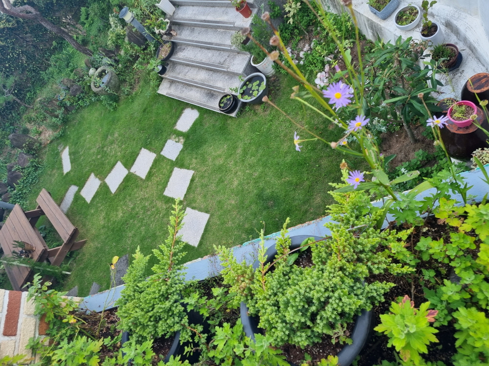 3695294320_rV7nShwm_d71cf9967dcfb0170852af9c49464c08686af816.jpg 이미지크게보기