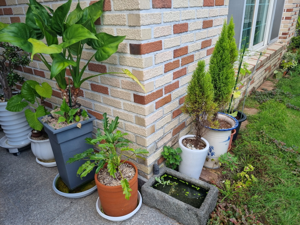 3695294320_tSYuiZPL_77b2c876912a2d4bd8fd83ccd2d959e31343cd5f.jpg 이미지크게보기